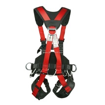 Product_thumb_4.0461_safety_belt_fbh50801_back
