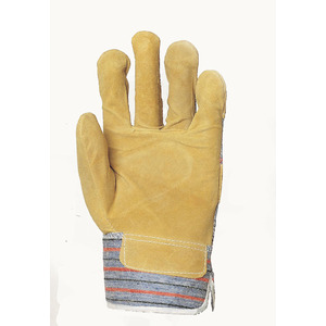 Product_1.0073-cbsap-glove
