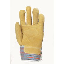 Product_thumb_1.0073-cbsap-glove
